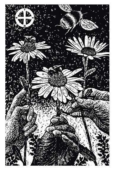 COLOSSIANS 3:1-17